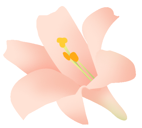 【動(dòng)態(tài)】春日有約 遇見“莓”好—— 安徽智恒信女神節(jié)采摘活動(dòng)